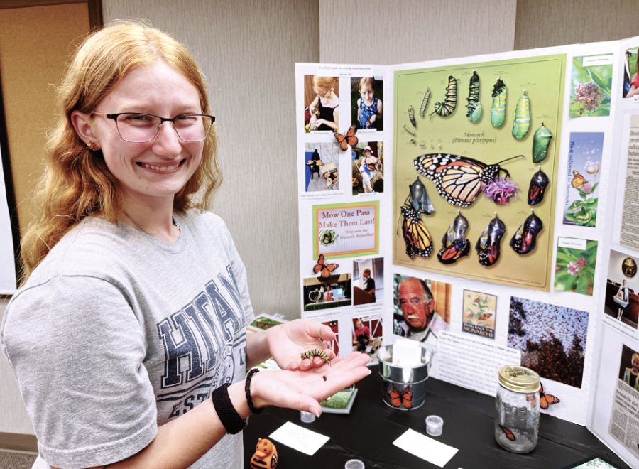 Bristol graduate spreads the word on monarch butterflies